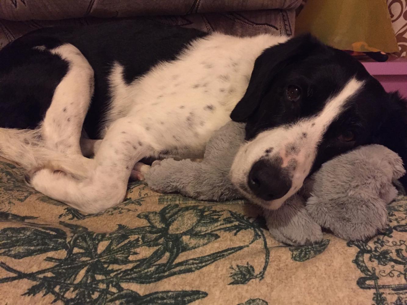 Karácsonyi ajándék