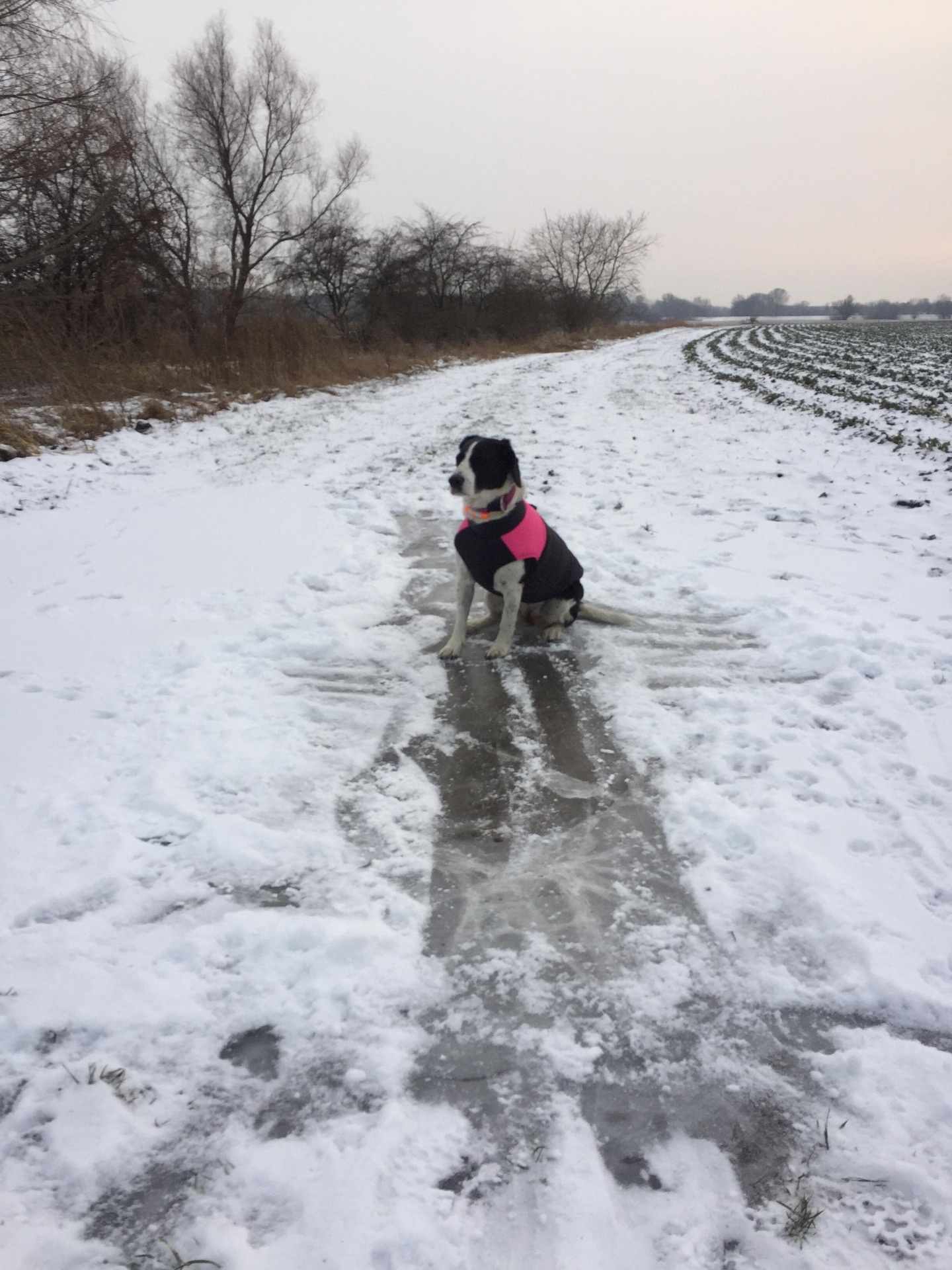 Csúszkálás a jégen