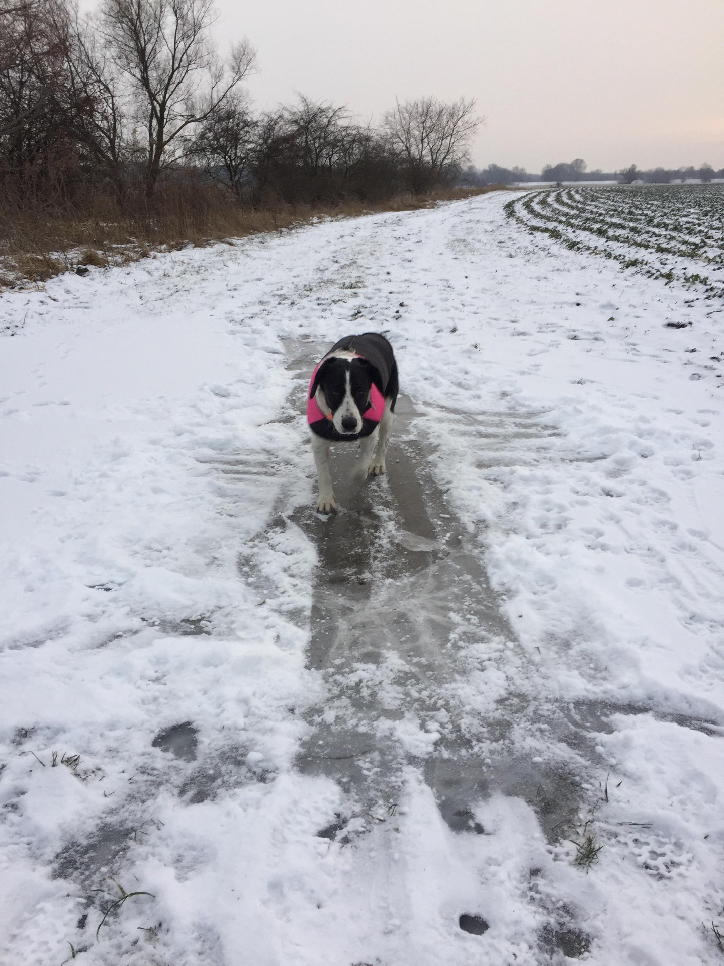 Csúszkálás a jégen